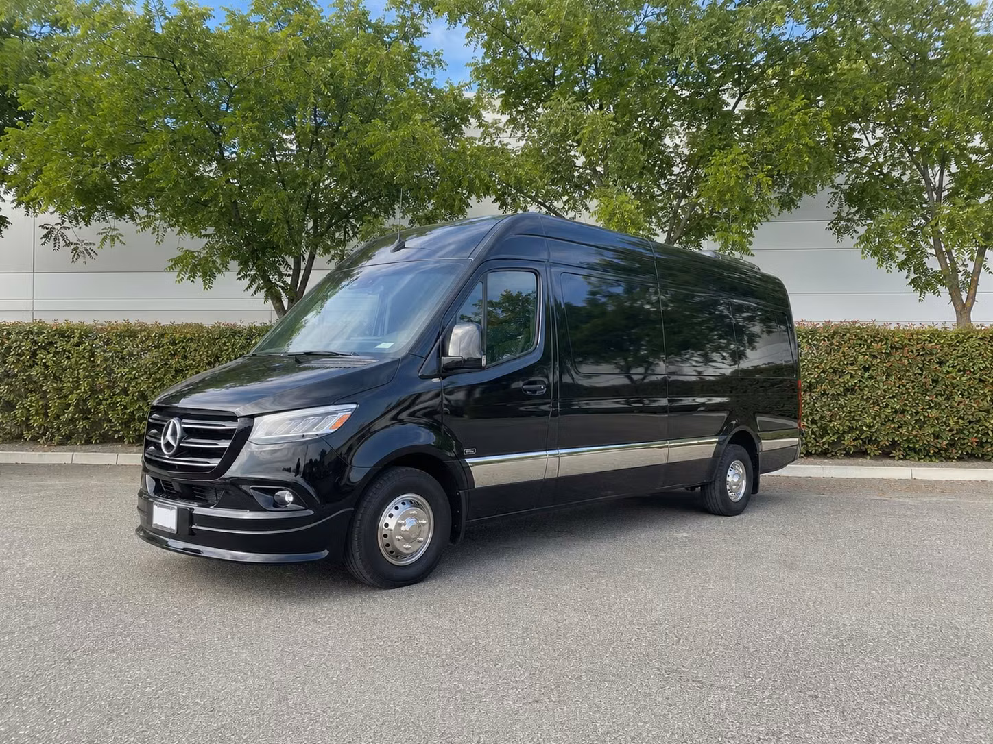 sprinter van with driver